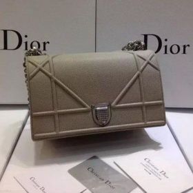 Dior Diorama Bag Original Leather CD13S Grey