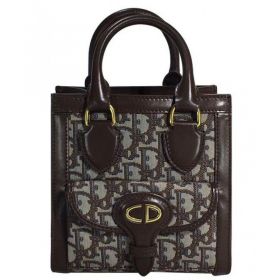 Christian Dior Dioraddict embroidered denim handbag Coffee